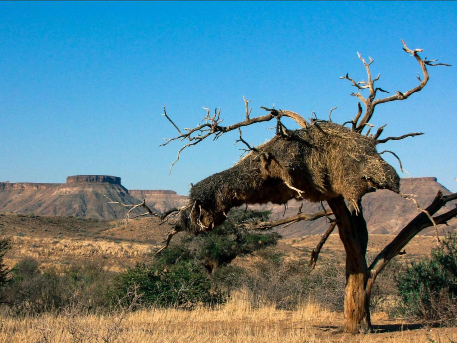 Mount Canyon Guest Farm Keetmanshoop Exteriér fotografie