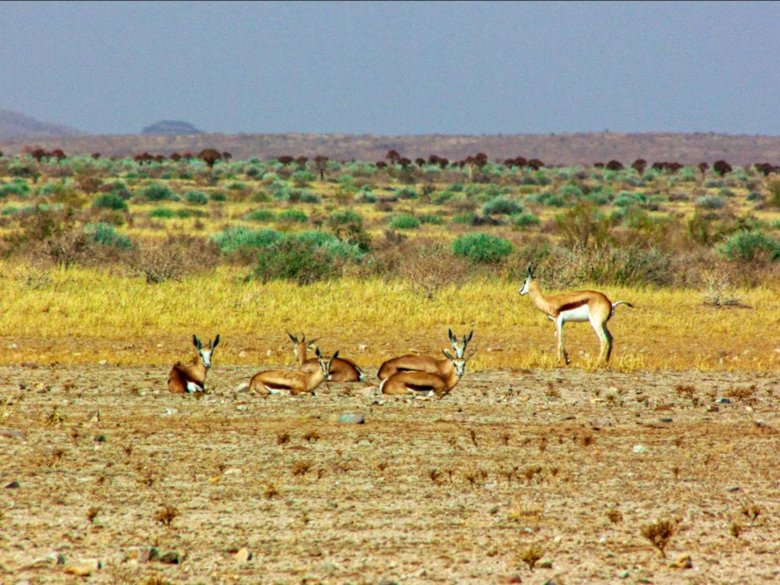 Mount Canyon Guest Farm Keetmanshoop Exteriér fotografie