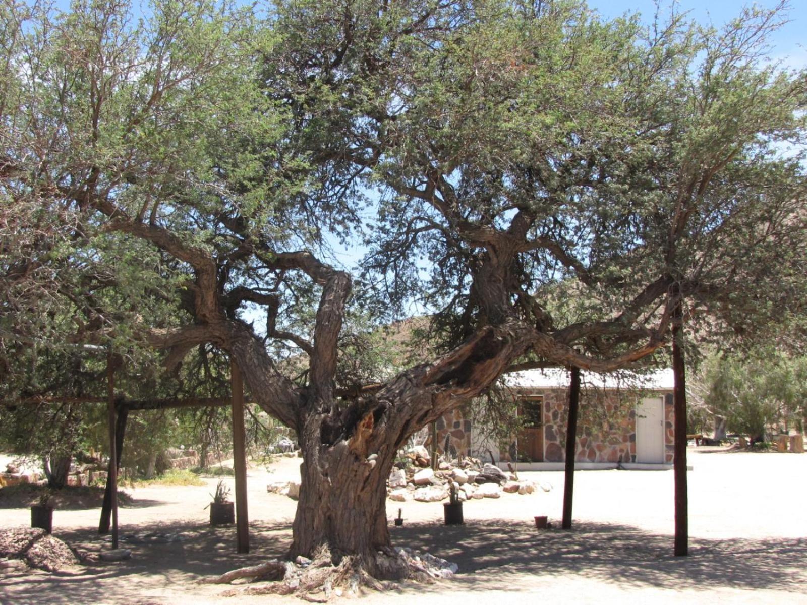 Mount Canyon Guest Farm Keetmanshoop Exteriér fotografie